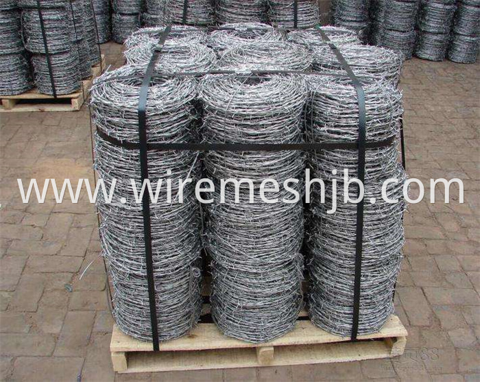 Electro Galvanized Barbed Wire